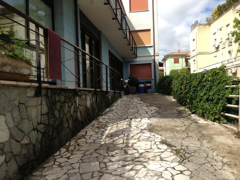 Primavera 2*